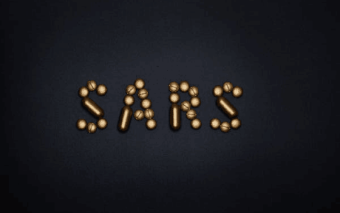 重估HR SaaS，一体化后的新三年
