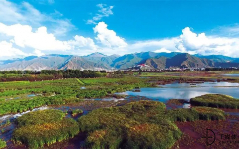 科技赋能拉萨之“肺”，华为助力拉鲁湿地智慧管理守护绿水青山