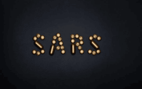 HR SaaS，该降降虚火了