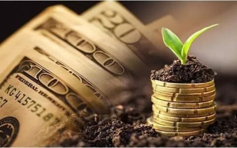 2023年，SaaS突围，小而美是出路还是陷阱？