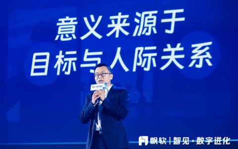 解密帆软，中间态的隐形冠军