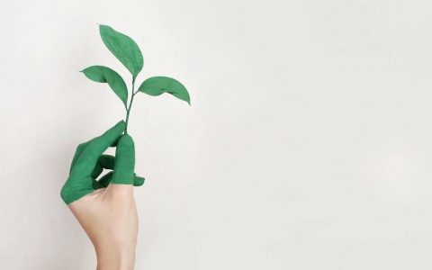 生态时代，做个有“边界感”的 SaaS