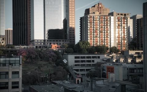 软件行业的未来：拥抱变革，把握机遇