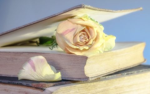 毕业季遇上招聘荒，BOSS直聘躺赚11亿元