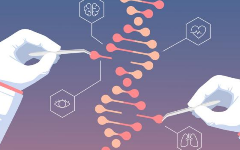 Nerai Bioscience获50万瑞郎种子轮融资，用AI高通量蛋白工程开发新型CRISPR工具