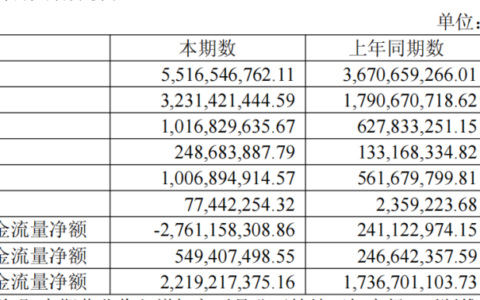 影石创新上半年营收增长50％净利降94％，库存达62亿元经营现金流转负