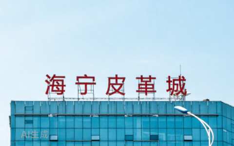 海宁皮城押注光伏：主业承压，发债收购电站资产能否讲出新故事？