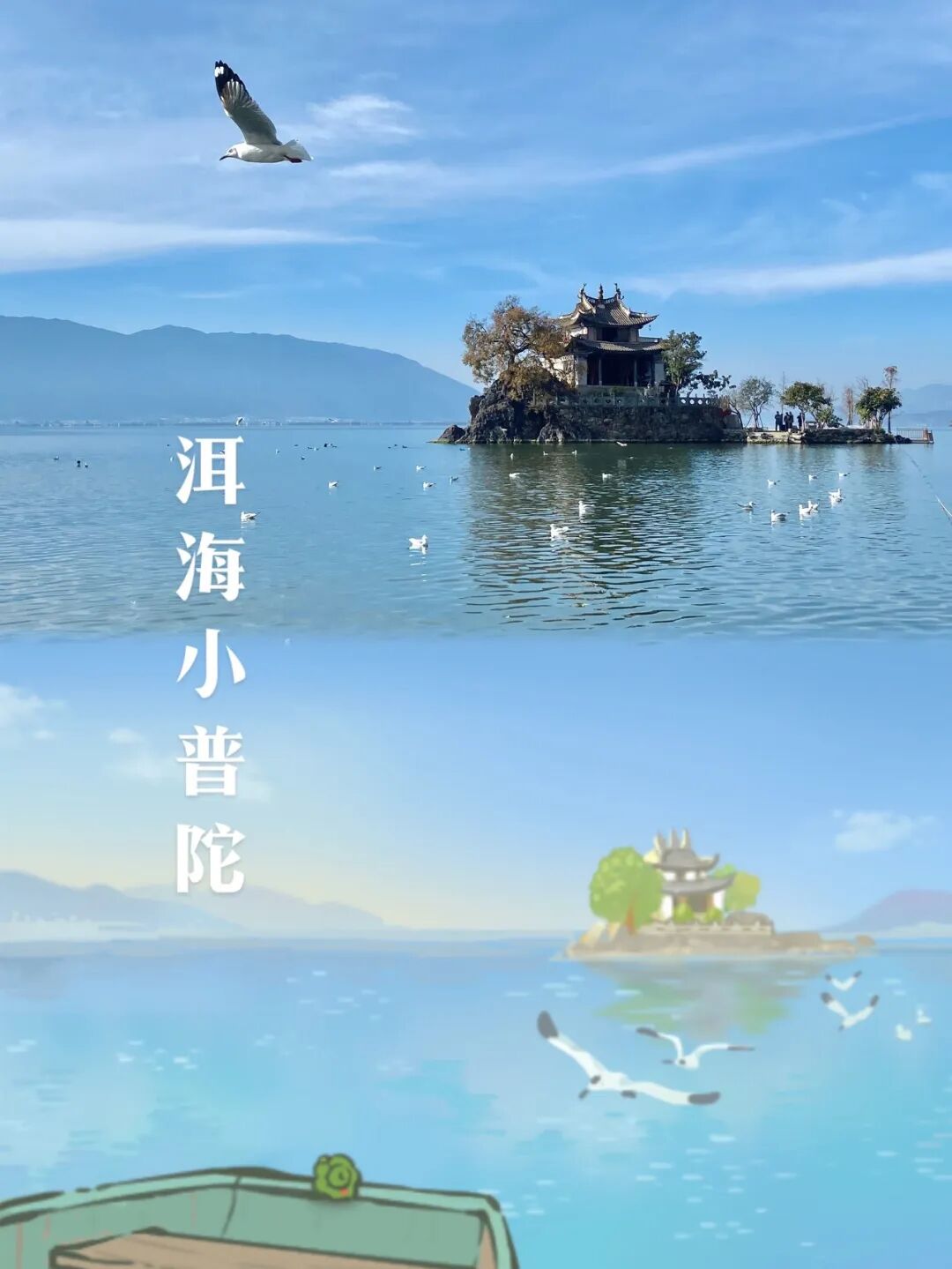 《旅行青蛙》寄来的最后一张明信片