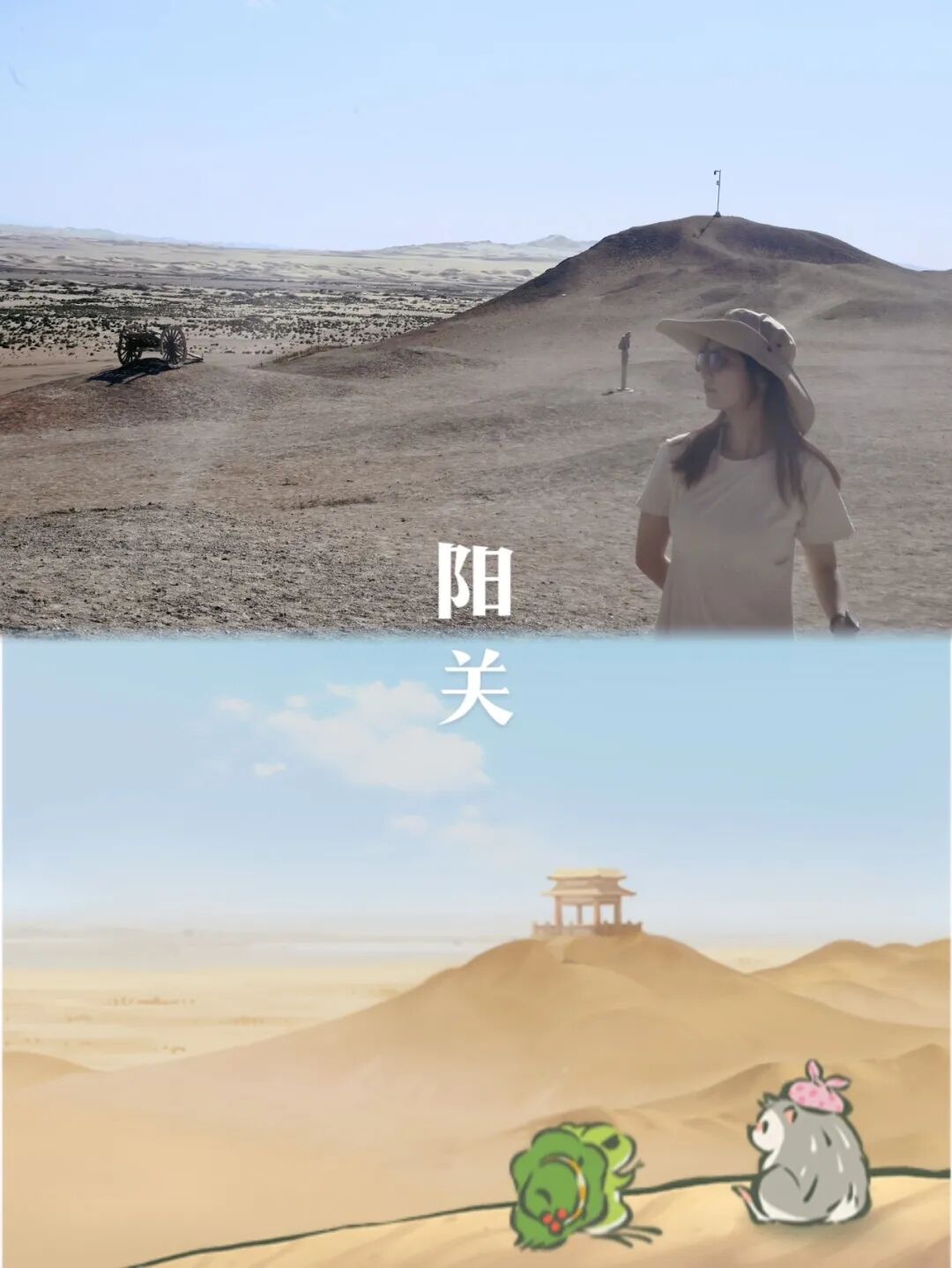 《旅行青蛙》寄来的最后一张明信片