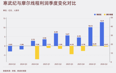 寒武纪与摩尔线程半年报对比：盈利与亏损分野背后的国产芯片路线之争