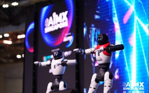 从Token到扭矩，中国AI企业闯关东盟的四道硬门槛