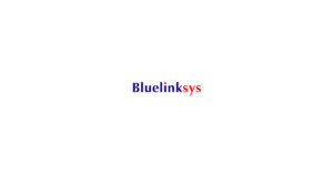 Bluelinksys蓝岭 logo