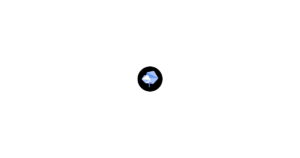 BlueWillow logo