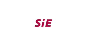赛意-大数据 logo