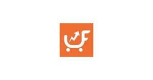 FunPinPin-建站 logo