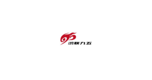 鸿联九五 logo