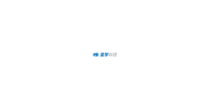 蓝掣商城 logo