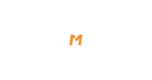麦塔低代码开发 logo