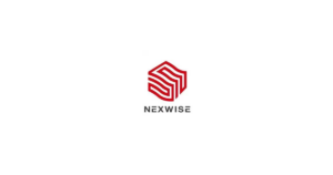 Nexwise人证合一身份核查 logo