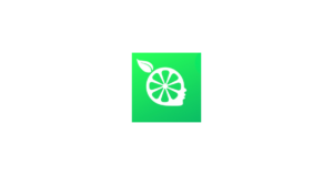 柠檬云财务 logo