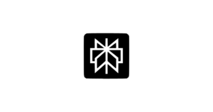 Perplexity logo