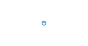 速联网络 logo