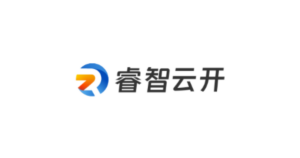 睿智科技BIG DATA 大数据 logo