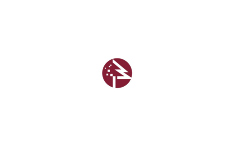 杉数科技：大模型上半场结束，决策式AI进入企业核心业务环节