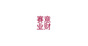 赛意业财 logo