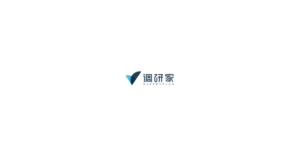 调研家 logo