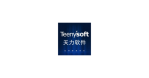 精算T6服装鞋业版 logo