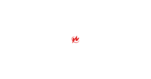 星环科技 logo