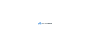 Triggermesh logo