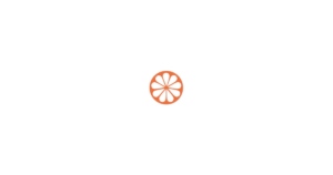 红橘科技-全程费控 logo