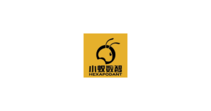 小蚁数智 logo