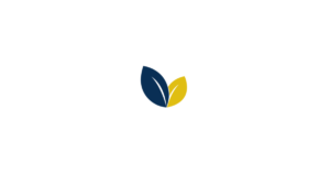 芝麻开花财税 logo